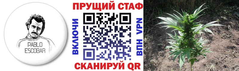 Купить наркотик аптеки Александровское ГАШИШ  Codein  СОЛЬ  Мефедрон  Cocaine  Конопля 