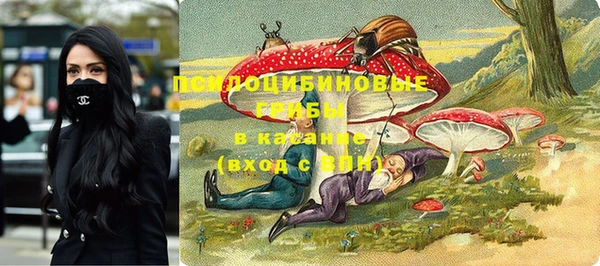 mdpv Верхний Тагил