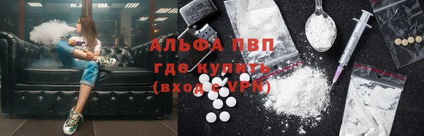 спиды Верея