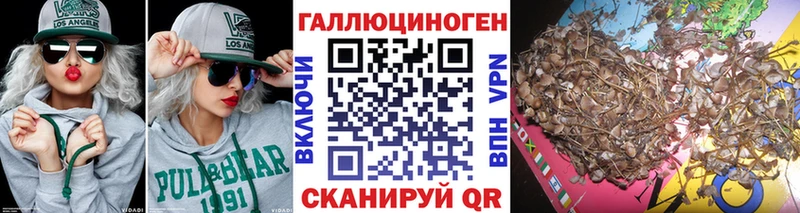 Галлюциногенные грибы прущие грибы  Александровское 